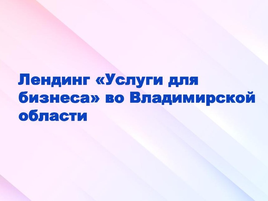 Лендинг «Услуги для бизнеса» во Владимирской области.