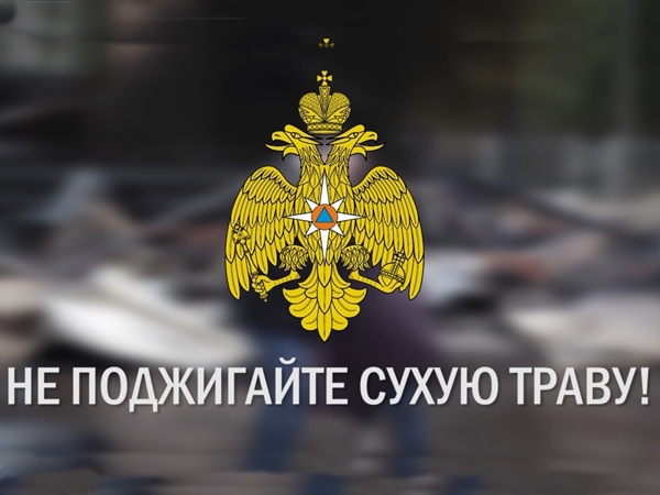 В Гусь-Хрустальном муниципальном округе с 15 апреля устанавливается пожароопасный сезон.