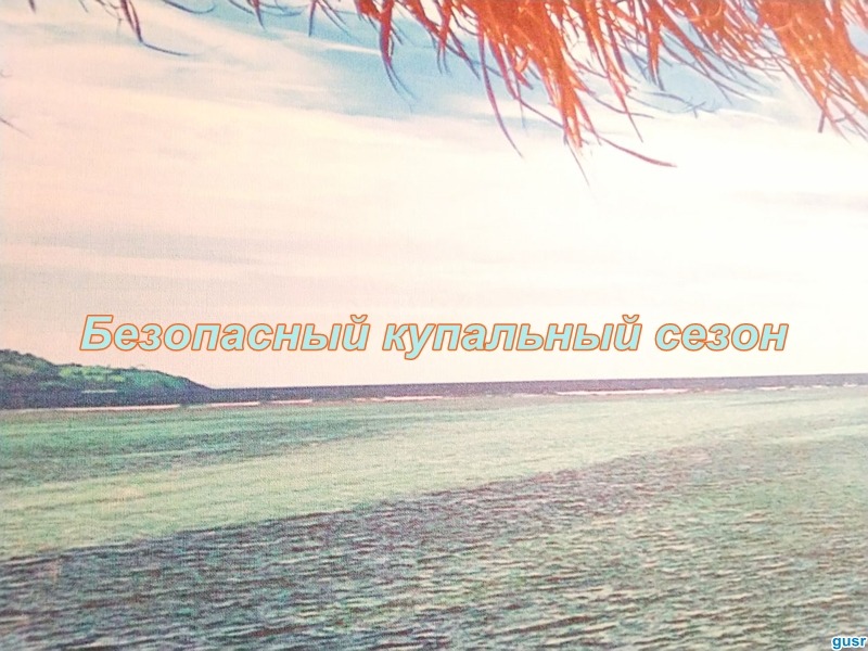 В Гусь-Хрустальном муниципальном округе стартует подготовка к безопасному купальному сезону 2026 года.