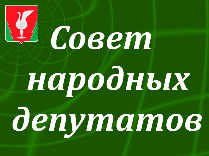 Заседание районного Совета народных депутатов.