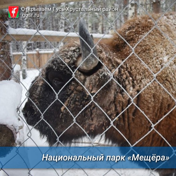 Национальный парк «Мещёра».