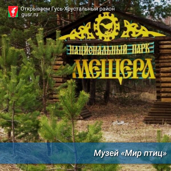 Музей «Мир птиц национального парка Мещера».